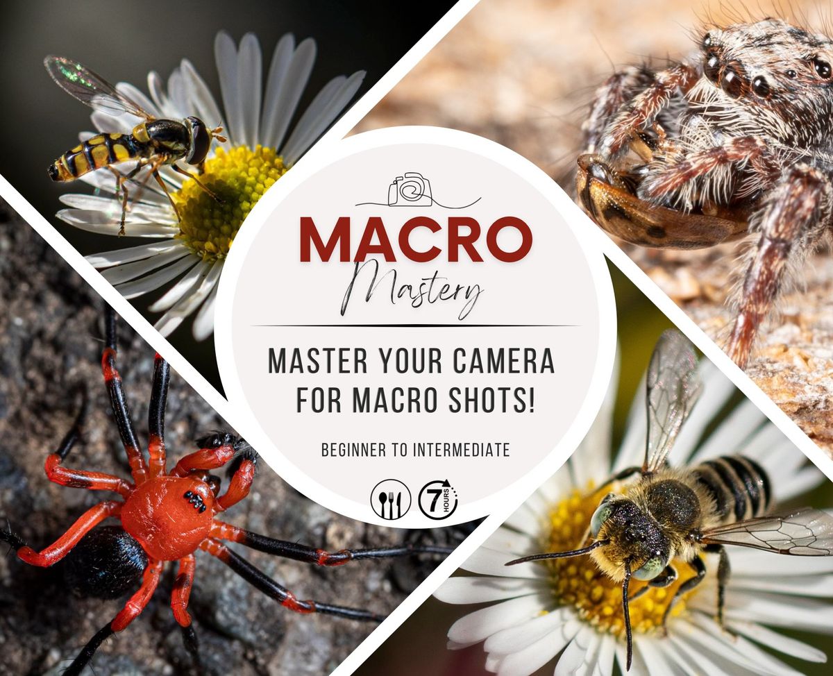 Macro Photography