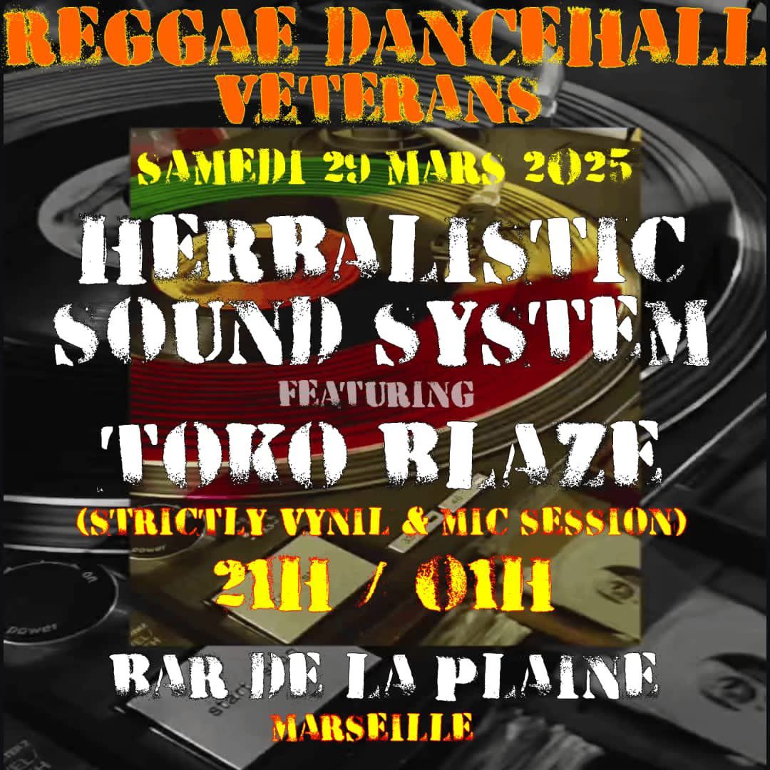 Herbalistic Sound System by selecta Ludo feat. Toko Blaze