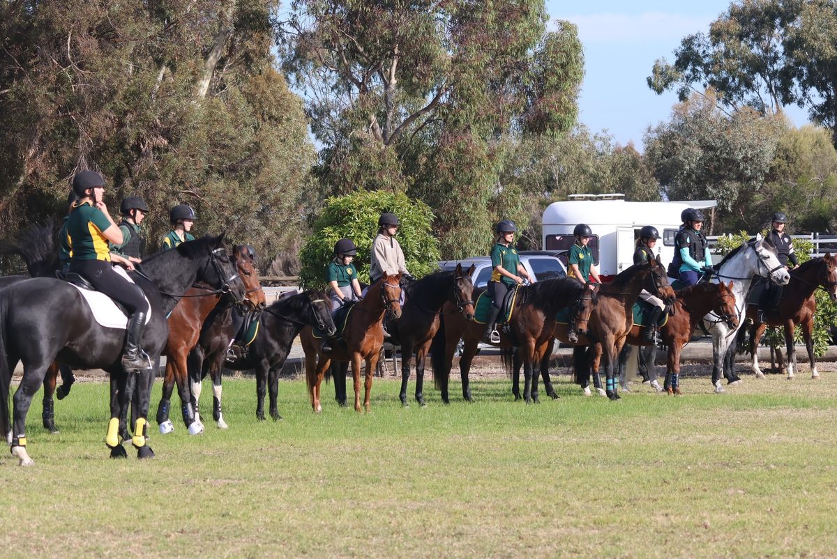 CT + Dressage Jackpot - Plus Freshman SJ