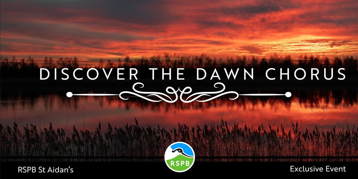 Discover the Dawn Chorus- RSPB St Aidan's