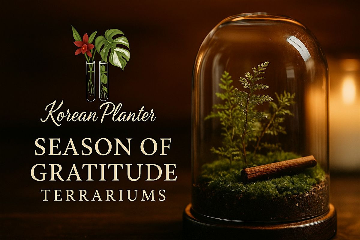 Terrarium Building Class