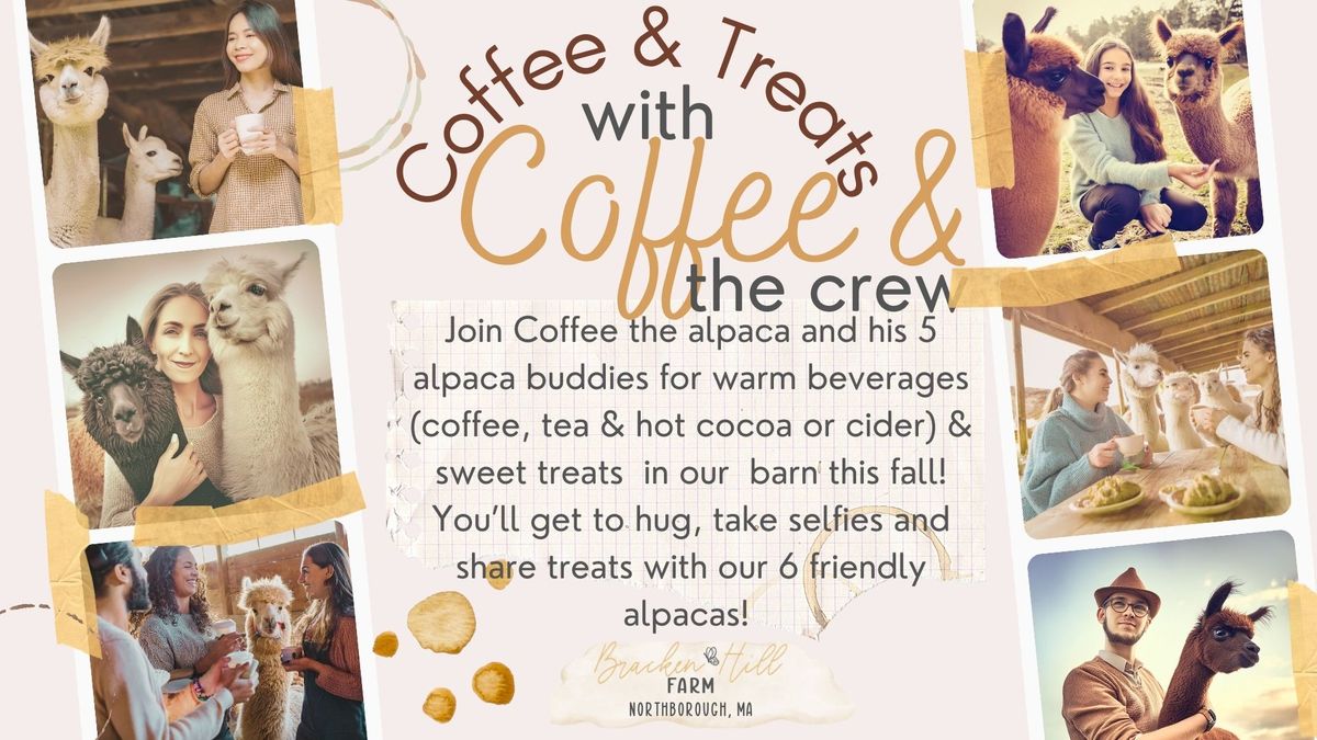 Coffee (and Hot Cocoa!) & Treats with Alpacas