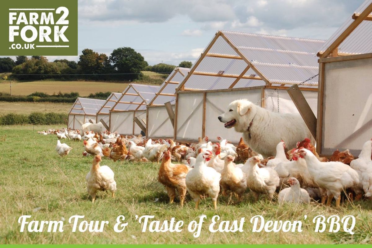 Farm Safari & 'Taste of East Devon' BBQ