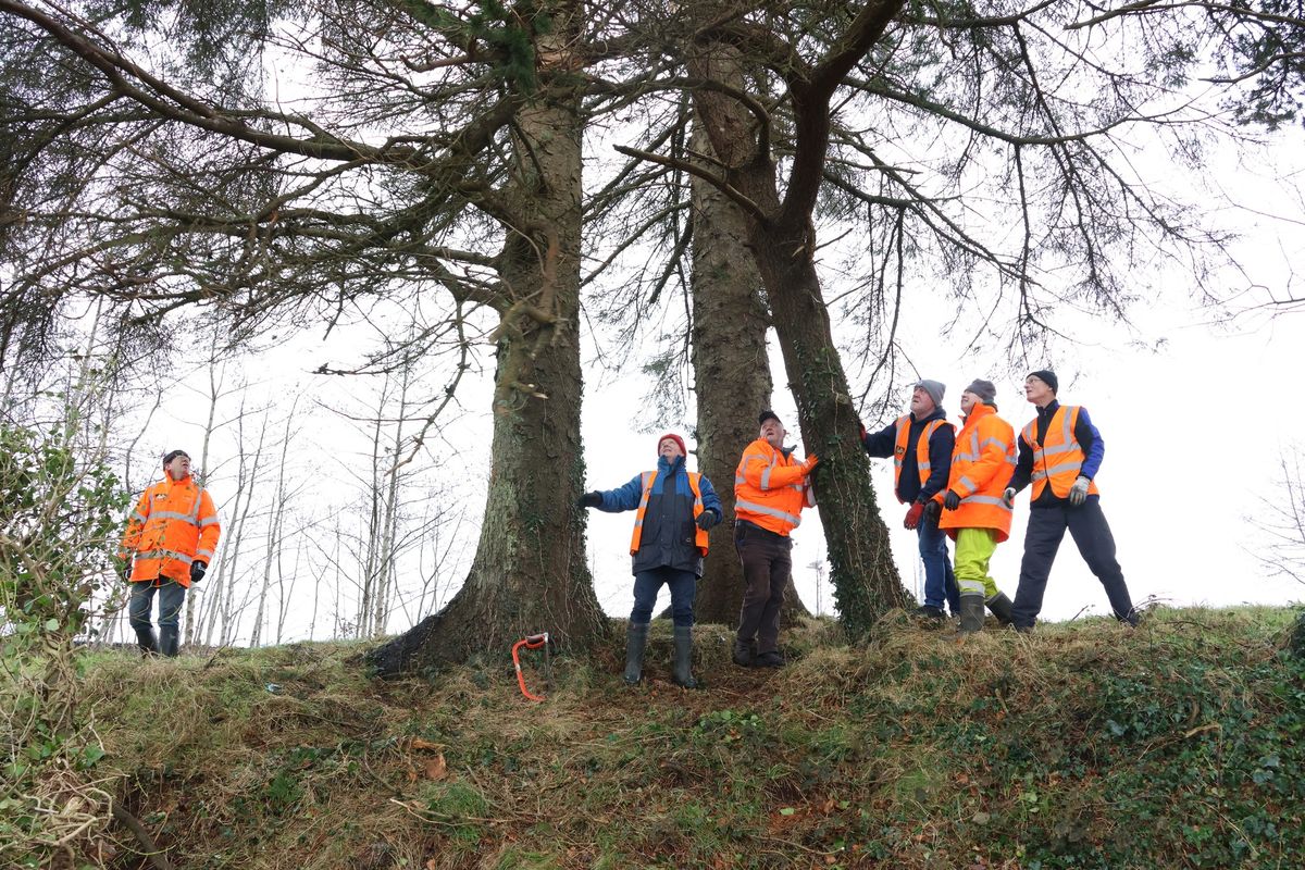 CASTLEBAR COMMUNITY CLEAN UP GROUP