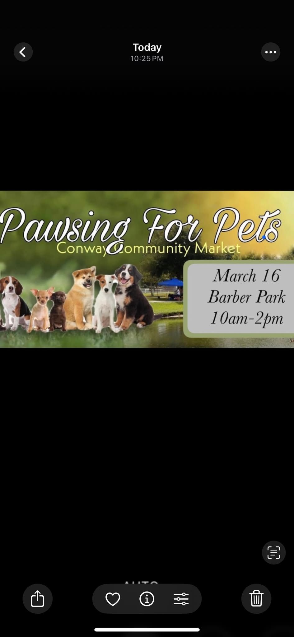 Pet Fair at the Conway Community Market 