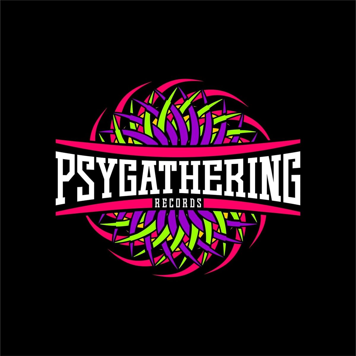 Psygathering 2025