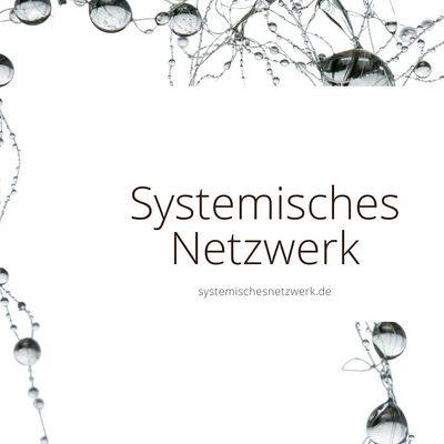 Systemisches Netzwerk