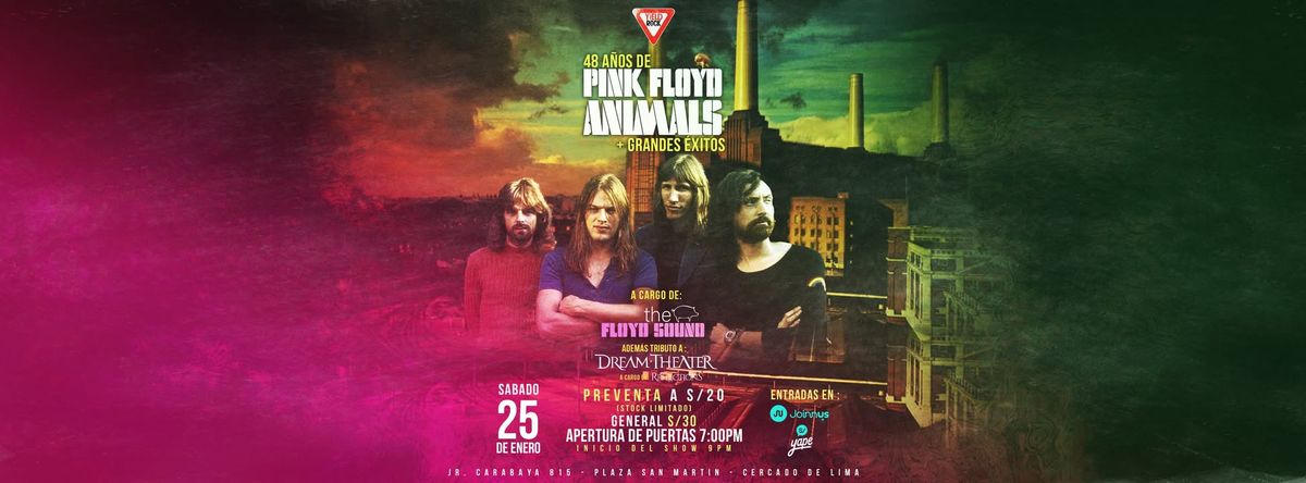 \ud83d\udc37 48 ANIVERSARIO DEL ANIMALS DE PINK FLOYD + GRANDES EXITOS \ud83d\udc37