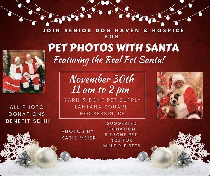 Pet Photos with Santa 