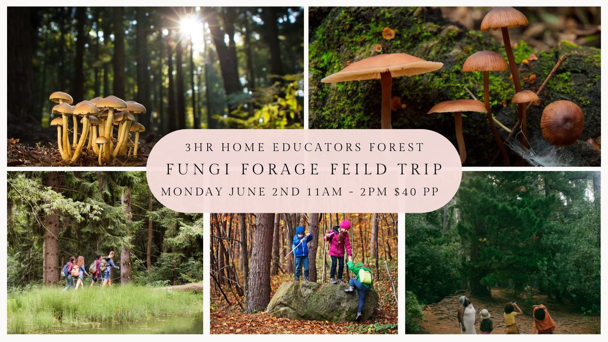 Home Educators Fungi Forage Feild Trip