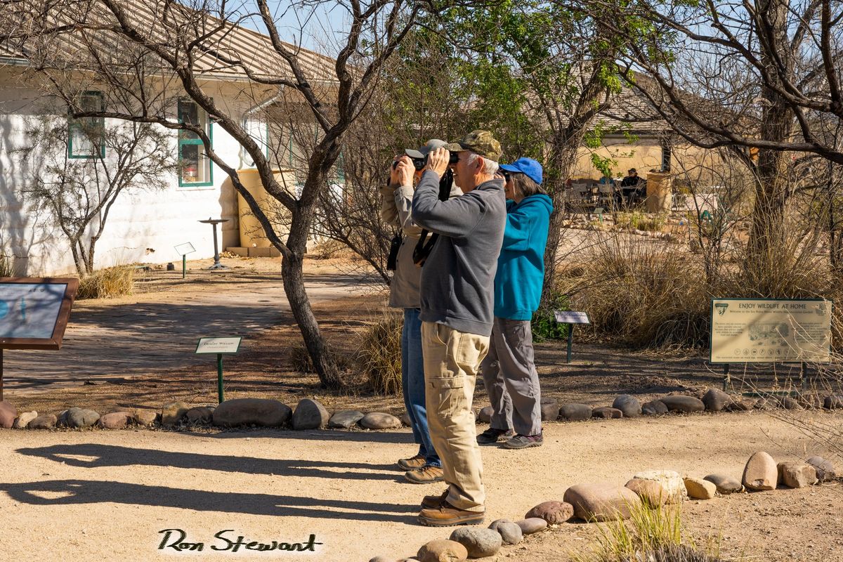 Bird Walk at the San Pedro House