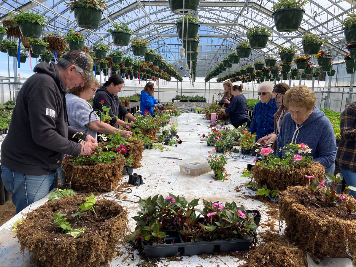 Sue's Moss Basket Classes