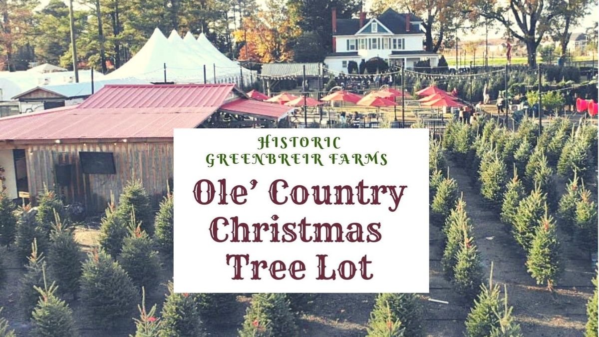 Tree Lot at Historic Greenbrier Farms