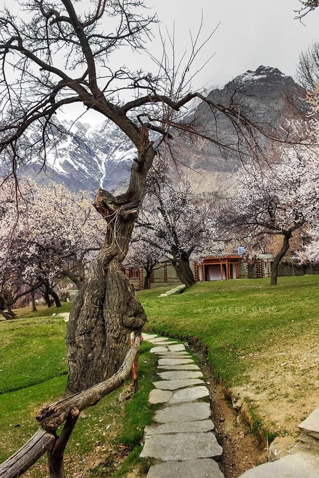 5 Days Trip to Hunza Valley