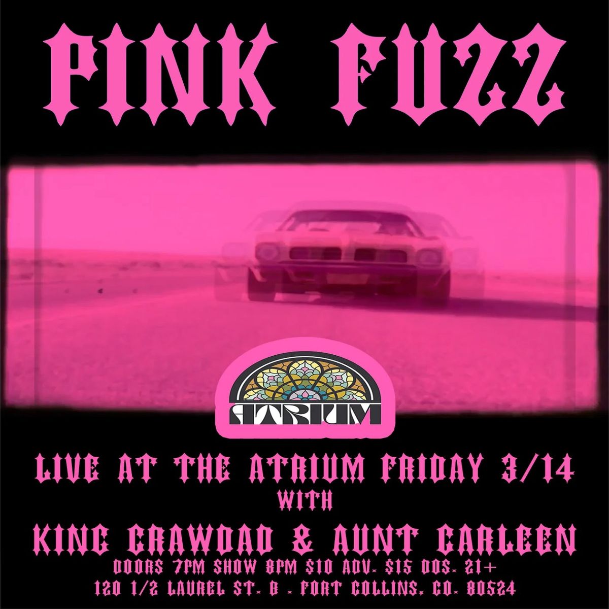 Pink Fuzz, King Crawdad, and Aunt Carleen live at The Atrium