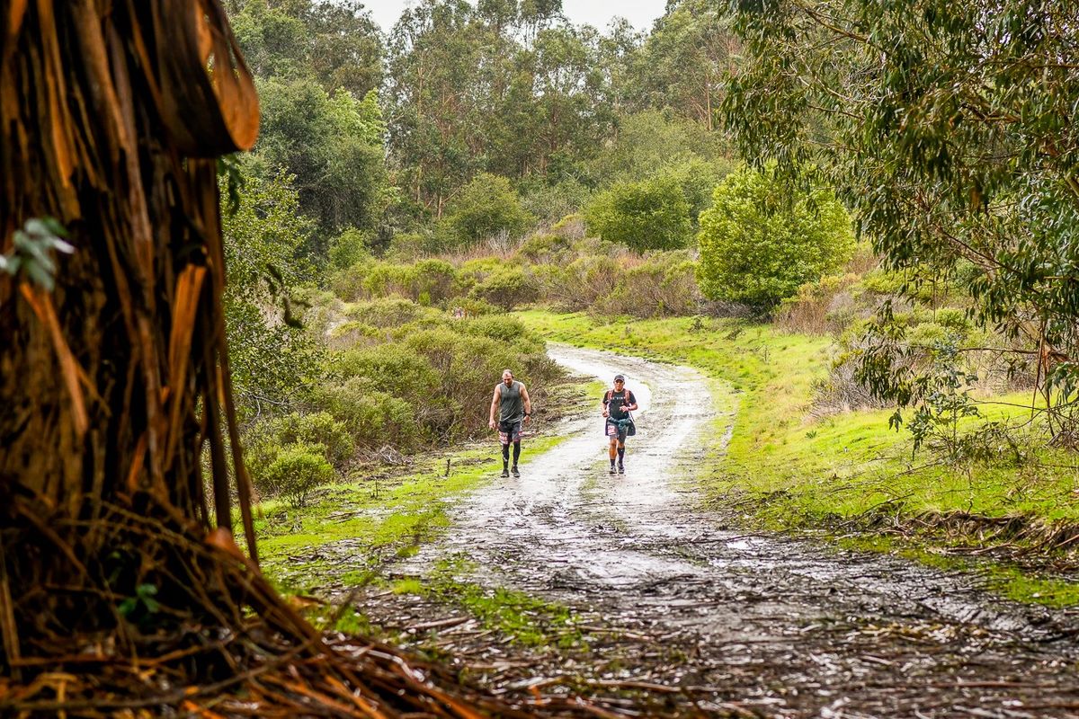 iTR: Redtail Ridge @ Lake Chabot Trail Run