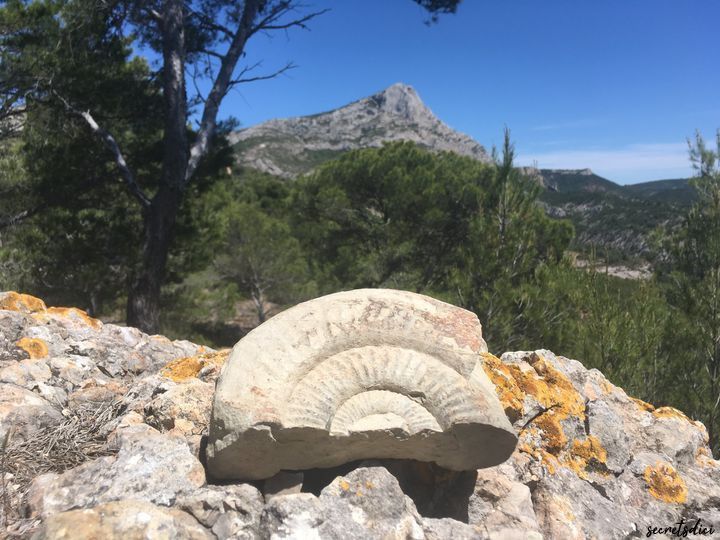 Sur les traces des Dinosaures de Sainte-Victoire - visite guid\u00e9e pour petits et grands