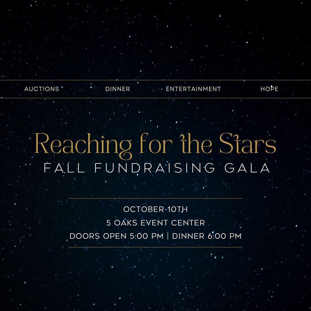 Reaching for the Stars Gala