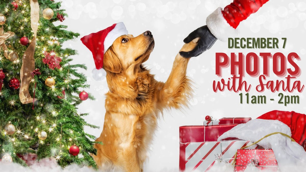 Photos with Santa at Three Dog Bakery