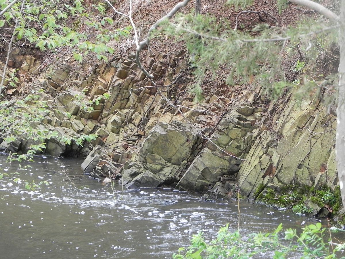 Naturalist Walk: Geology