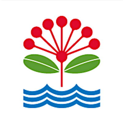 Mt Albert Library