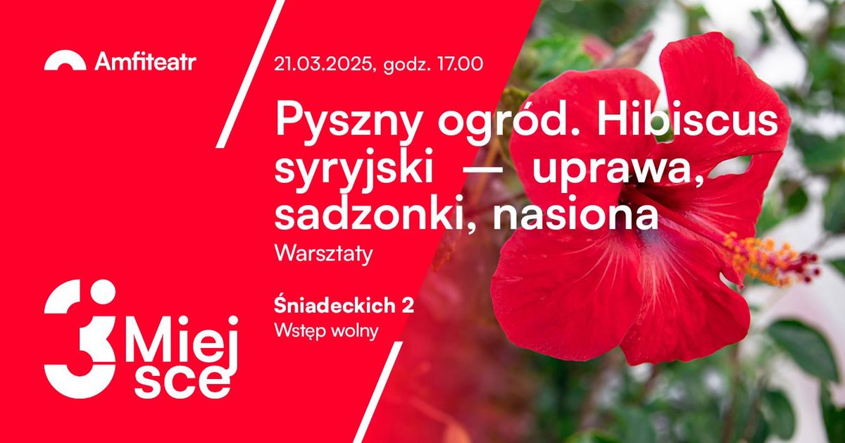 Pyszny ogr\u00f3d. Hibiscus Syryjski \u2013 uprawa, sadzonki, nasiona