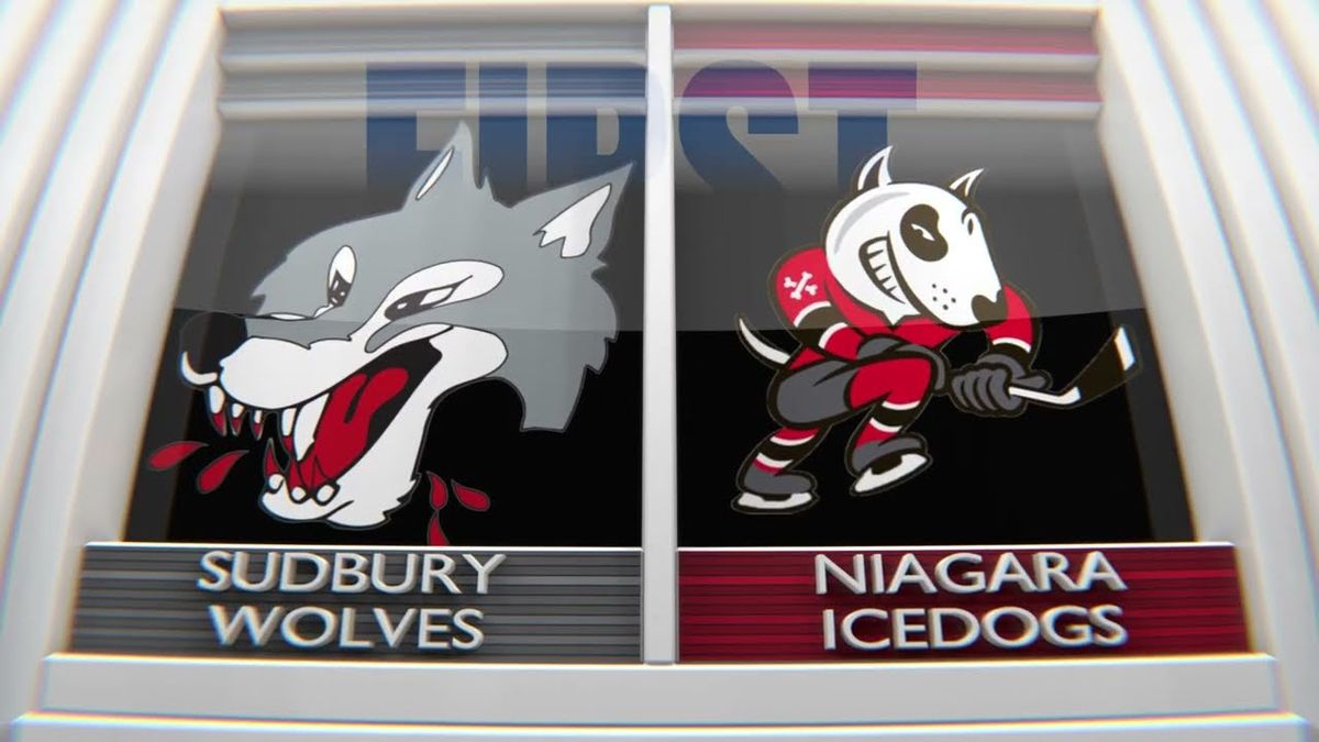 Sudbury Wolves at Niagara IceDogs