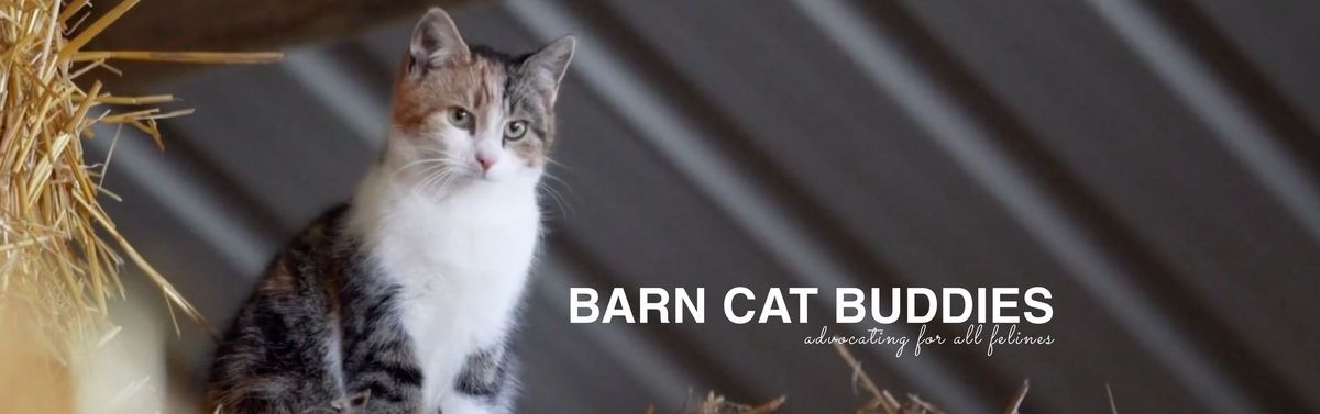 Volunteer Meet & Greet with Barn Cat Buddies 