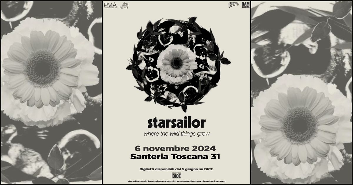 STARSAILOR | Santeria Toscana 31