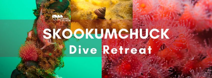 Skookumchuck Dive Retreat