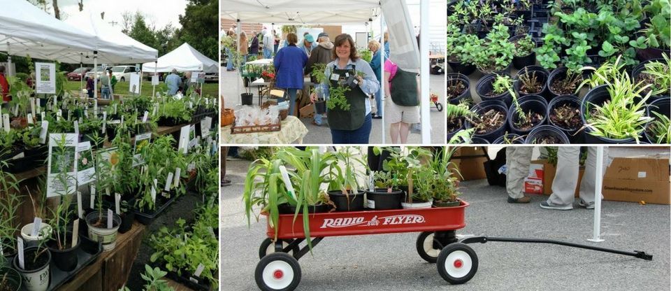 Annual Plant Sale: In-person only