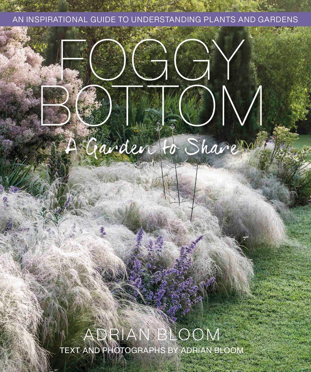 Book Signing: Adrian Bloom