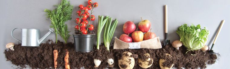 Growing Groceries in Small Spaces with the Snohomish County Master Gardeners