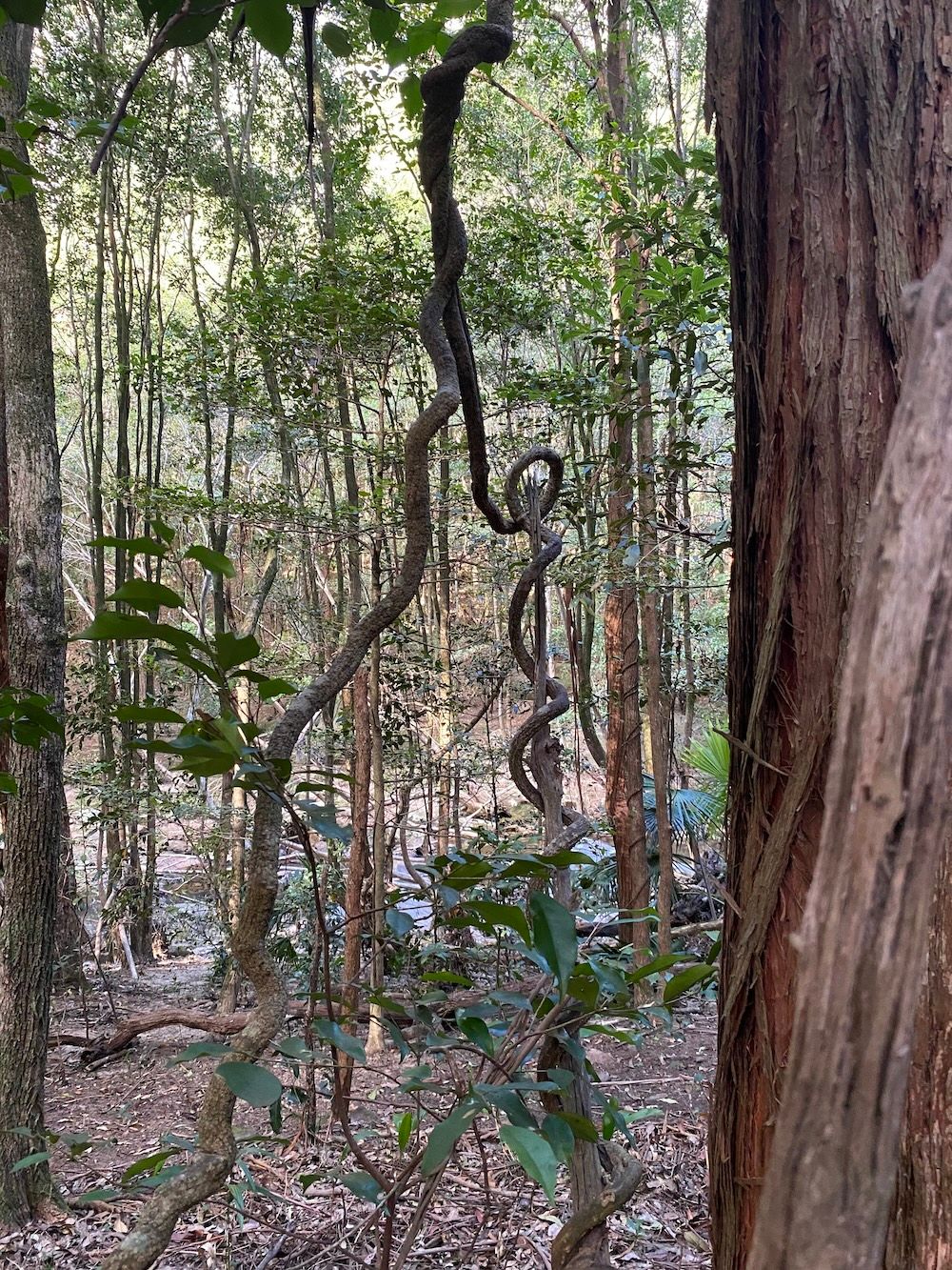 Walk a hidden gem in the Royal, and check out coal waste material on the way