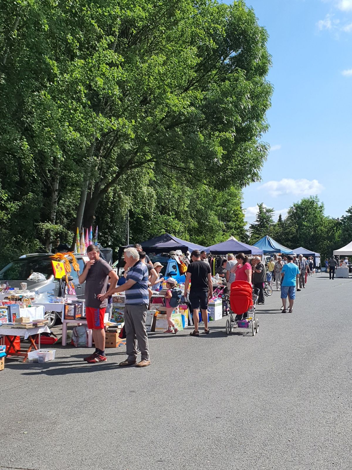 2 TAGE 21.06 - 22.06. 2025 OBERLAUSITZER ANTIK & TR\u00d6DELMARKT FLOHMARKT WILTHEN BADEWEG