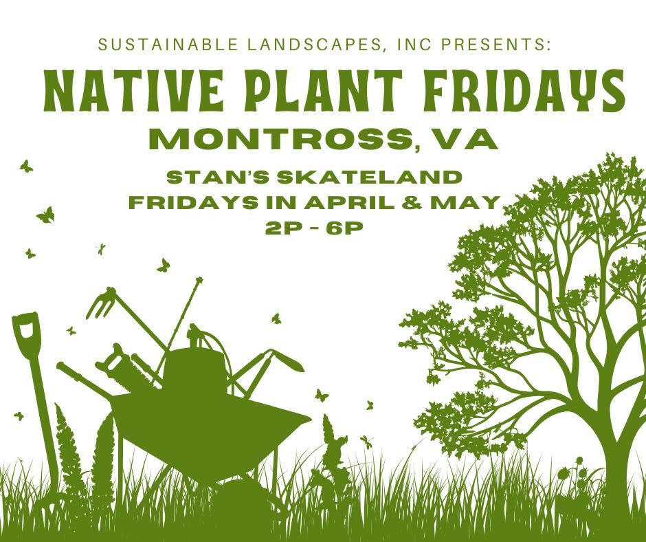 Montross Native Plant Fridays - Spring 2025