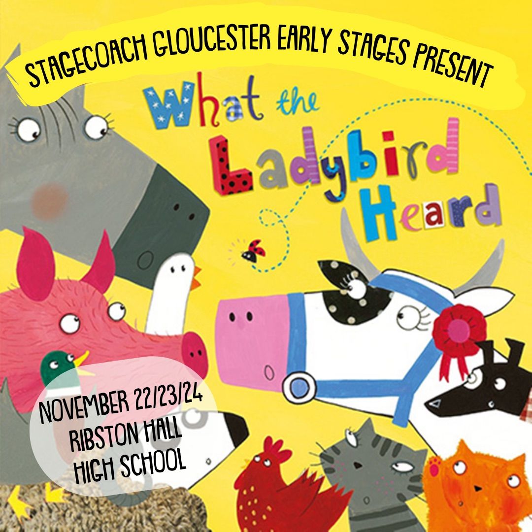 Early Stages Autumn Term - Inspired by \u2018What The Ladybird Heard\u2019