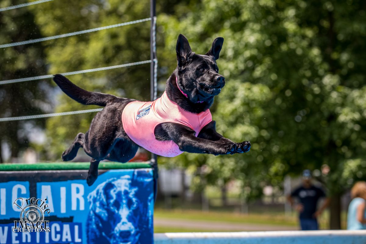 DockDogs\u00ae at the Dickinson Outdoor Fest