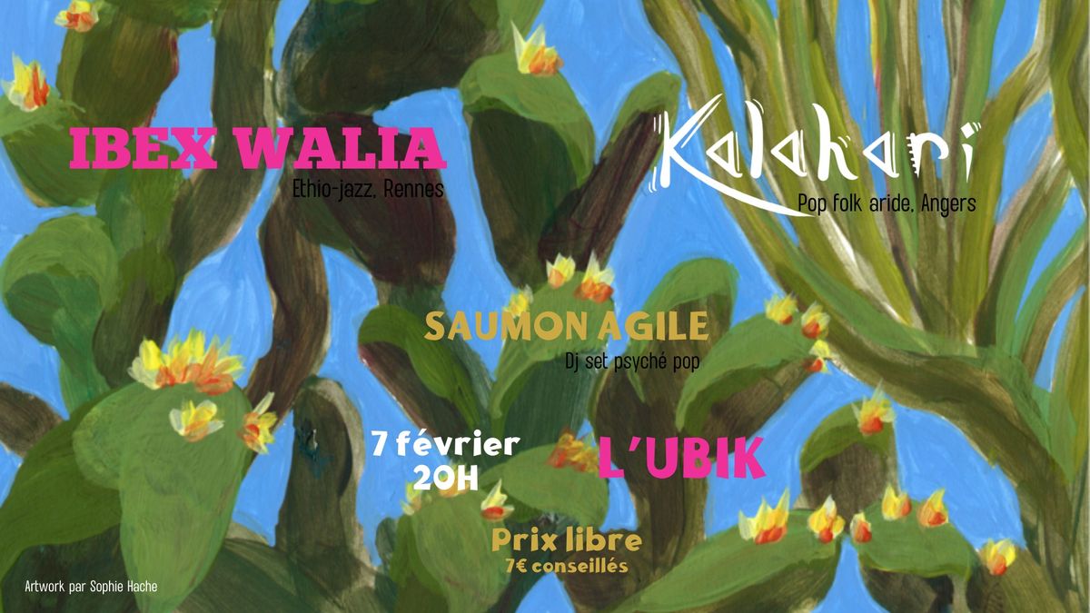 KALAHARI (pop folk aride) x IBEX WALIA (\u00e9thiojazz) + Saumon Agile dj set @ l'Ubik