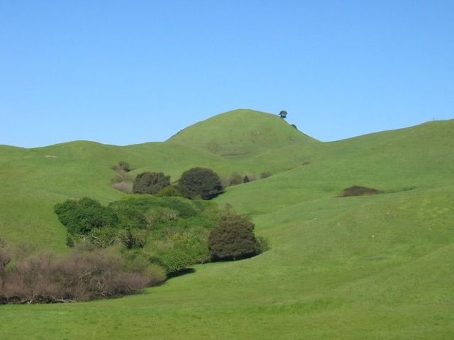 Hike Sonoma Mountain\u2019s Lower Ridgeline: Tallgrass Ranch and Wildcat Mountain Vineyard