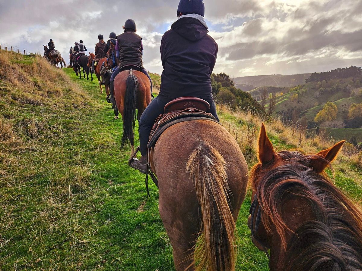 Adult Horse Riding Camp