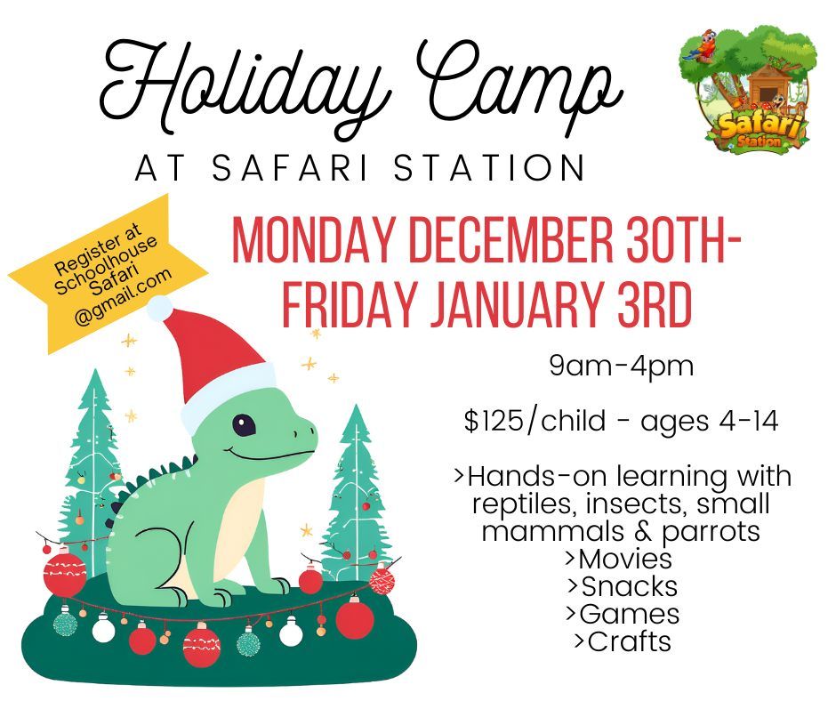 Holiday Camp at Safari Station