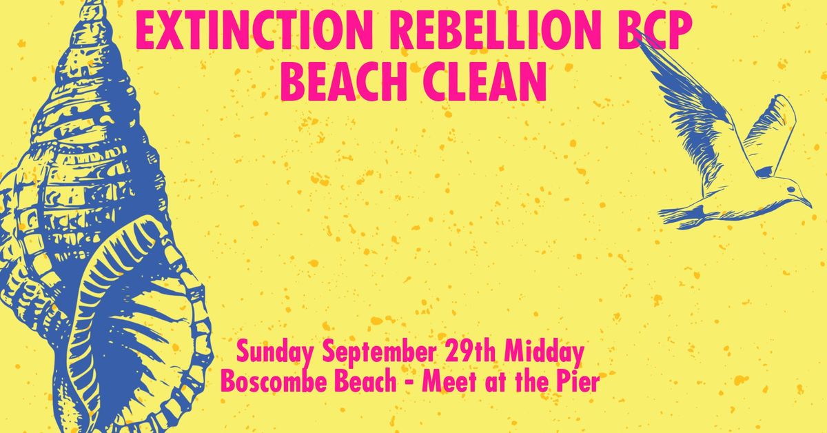 Extinction Rebellion BCP Beach Clean