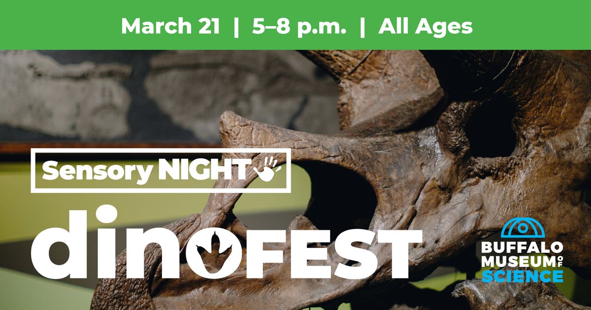 Sensory Night: DinoFEST (All ages)