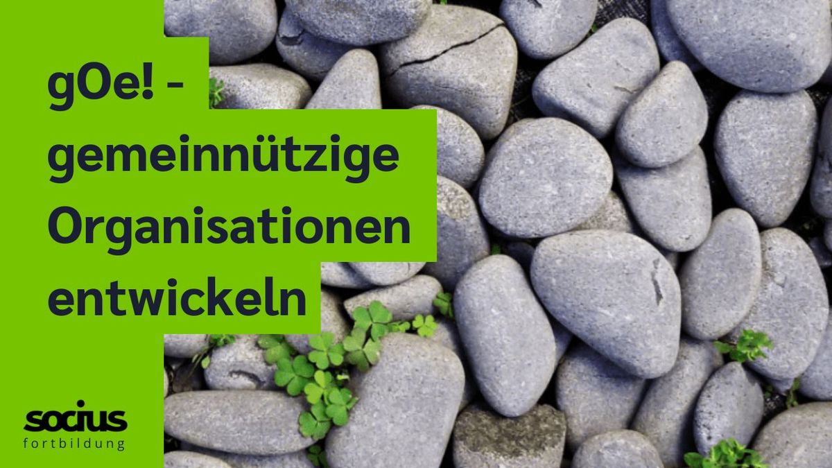 SOCIUS fortbildung: gOe! - gemeinn\u00fctzige Organisationen entwickeln