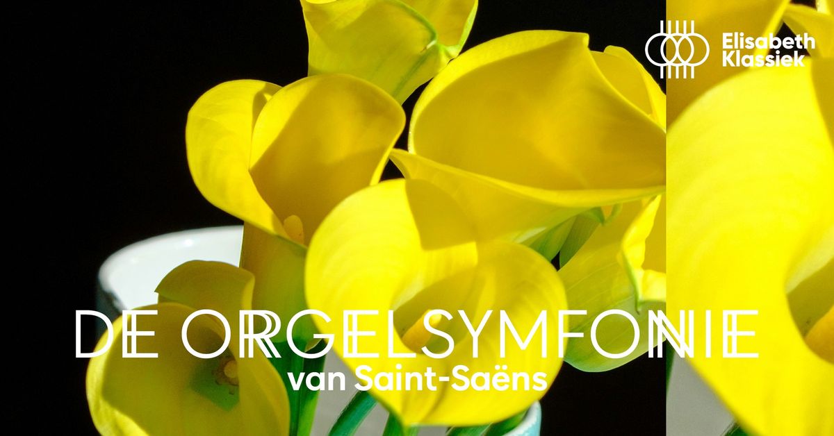 De \u2018Orgelsymfonie\u2019 van Saint-Sa\u00ebns