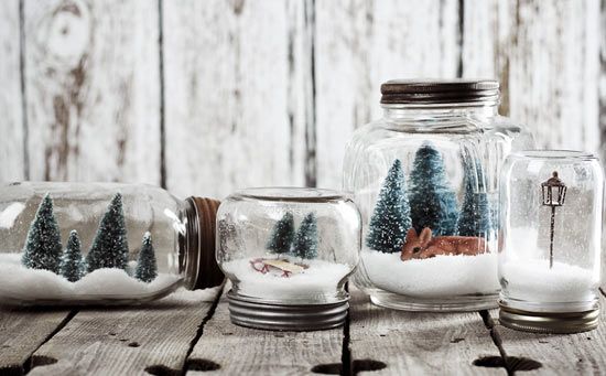 Winter Terrarium 