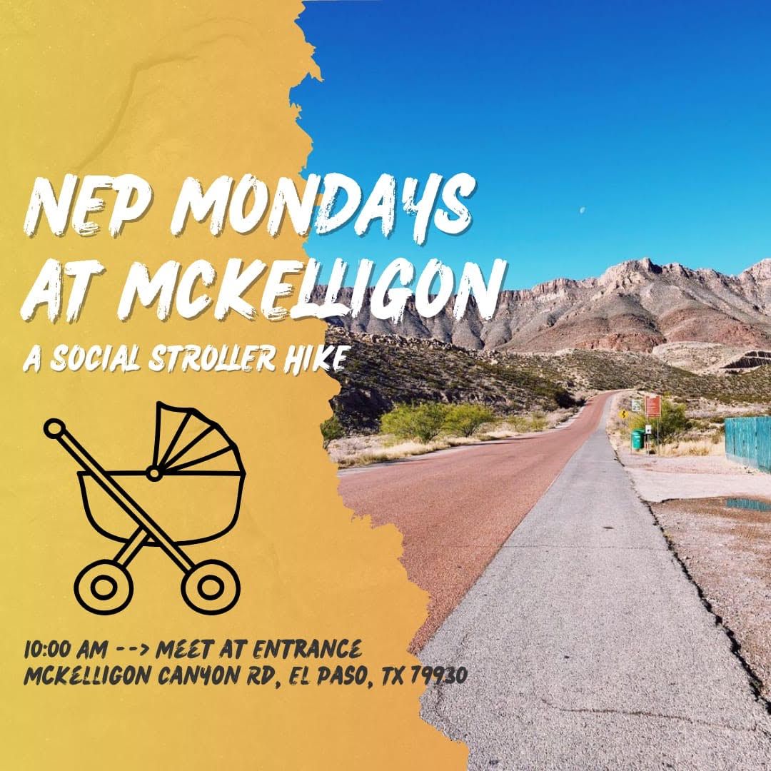 NEP Mondays at Mckelligon