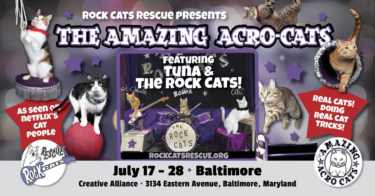 The Amazing Acro-Cats Bound into Baltimore!