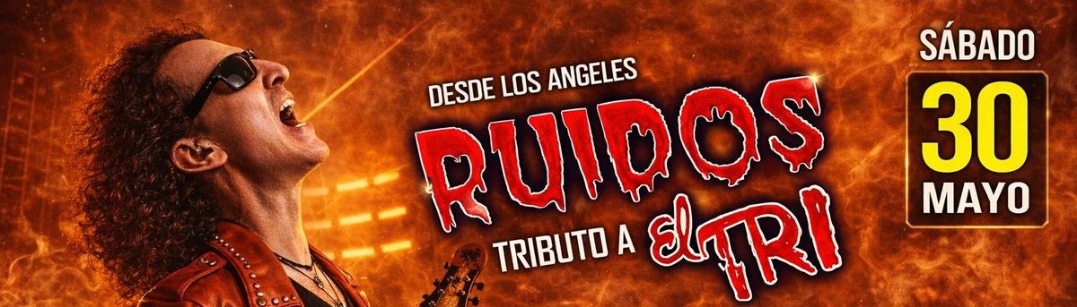 TRIBUTO AL TRI POR RUIDOS